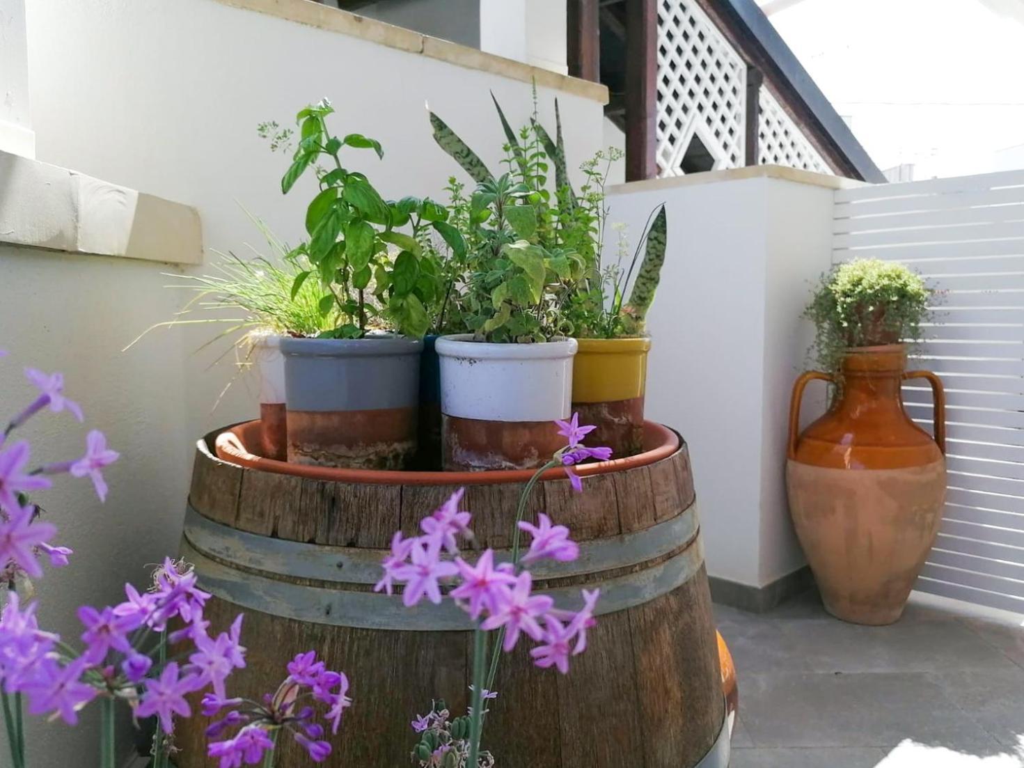 Casa Flora - Bed And Breakfast Torre San Giovanni Ugento Dış mekan fotoğraf