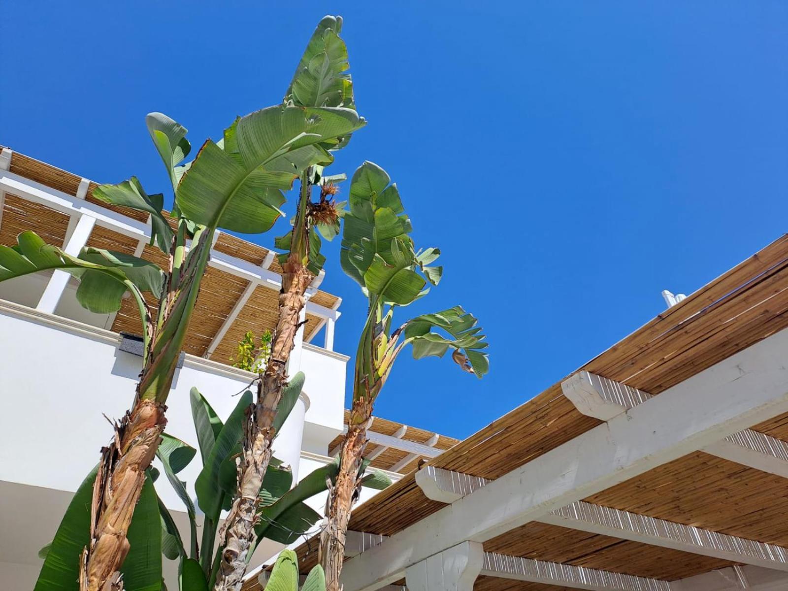 Casa Flora - Bed And Breakfast Torre San Giovanni Ugento Dış mekan fotoğraf